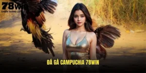 Đá Gà Campuchia 78win - Trận Đấu Quốc Tế Hấp Dẫn 5 Đá gà Campuchia 78win