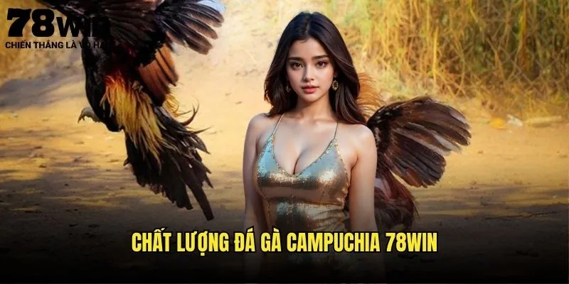 Chất Lượng Đá Gà Campuchia 78win
