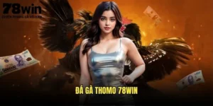 Đá Gà Thomo 78win - Đấu Trường Gà Chọi Đẳng Cấp 3 Đá gà Thomo 78win