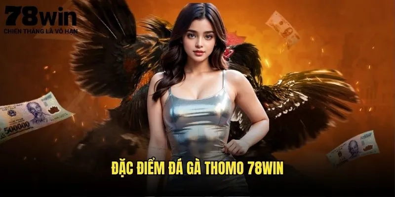 Đặc Điểm Đá Gà Thomo 78win